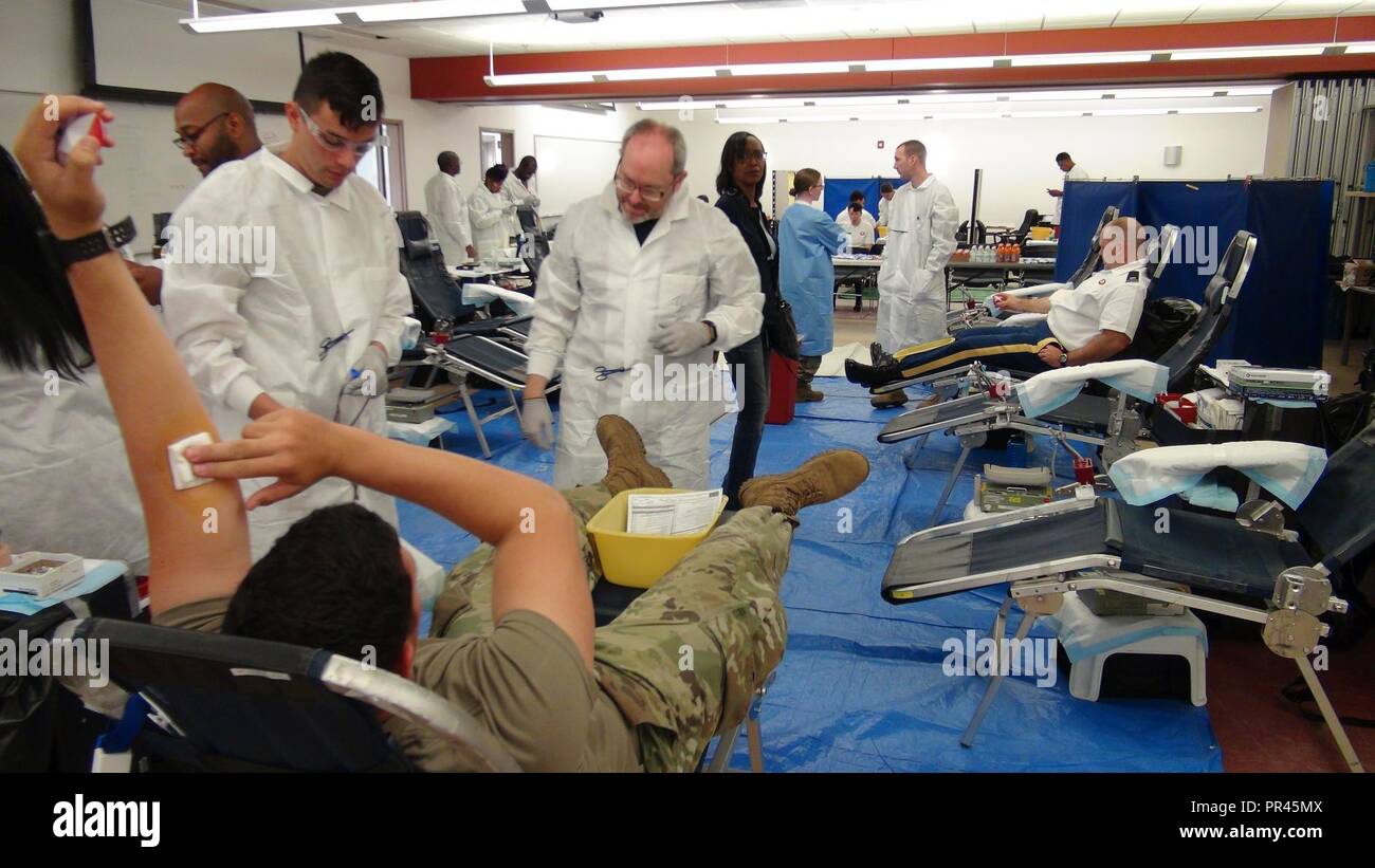 On Friday, 7 September, members of the 2/319 Field Artillery BDE, 82nd ABN DVN, Lab techs from the 432nd Blood Support Detachment, 44 MED BDE, and members of the Ft Bragg Blood Donor Center assist each other in the screening of Global Response Force (GRF) personnel to determine eligibility as Fresh Whole Blood donors. The primary goal of this partnership was to determine how many donors possessed the much needed 'O- Blood' otherwise known as the Universal Donor. After blood collection, it will be tested for transfusion transmitted diseases, as well as a determination of titer status, so the gr Stock Photo