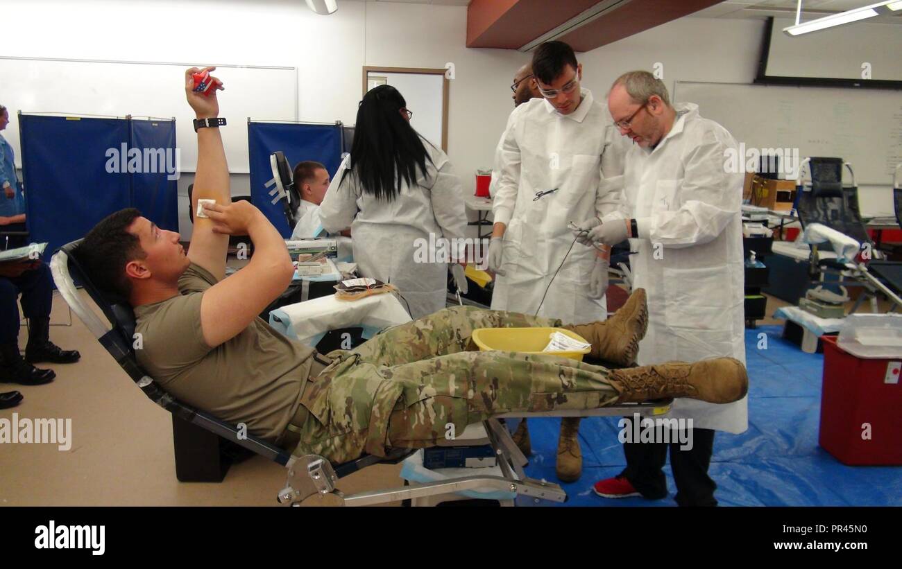 On Friday, 7 September, members of the 2/319 Field Artillery BDE, 82nd ABN DVN, Lab techs from the 432nd Blood Support Detachment, 44 MED BDE, and members of the Ft Bragg Blood Donor Center assist each other in the screening of Global Response Force (GRF) personnel to determine eligibility as Fresh Whole Blood donors. The primary goal of this partnership was to determine how many donors possessed the much needed 'O- Blood' otherwise known as the Universal Donor. After blood collection, it will be tested for transfusion transmitted diseases, as well as a determination of titer status, so the gr Stock Photo