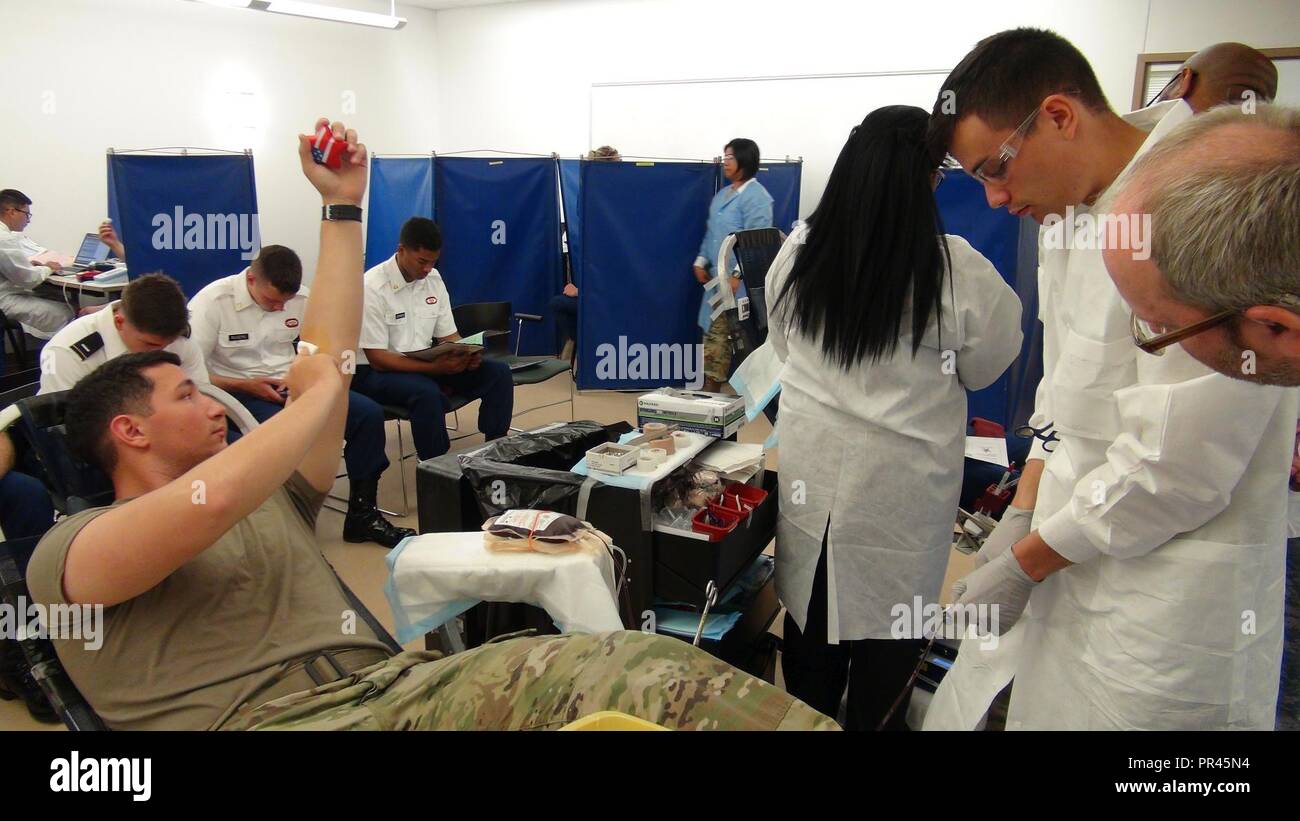 On Friday, 7 September, members of the 2/319 Field Artillery BDE, 82nd ABN DVN, Lab techs from the 432nd Blood Support Detachment, 44 MED BDE, and members of the Ft Bragg Blood Donor Center assist each other in the screening of Global Response Force (GRF) personnel to determine eligibility as Fresh Whole Blood donors. The primary goal of this partnership was to determine how many donors possessed the much needed 'O- Blood' otherwise known as the Universal Donor. After blood collection, it will be tested for transfusion transmitted diseases, as well as a determination of titer status, so the gr Stock Photo