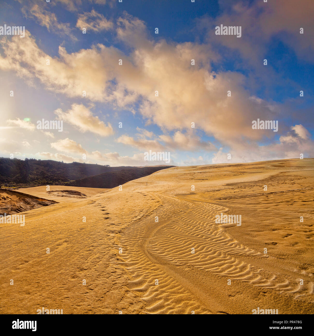 Te Paki giant sand dunes, Northland, New Zealand. Stock Photo