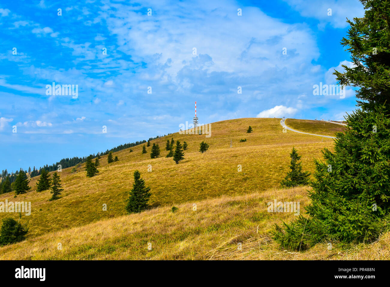 Highest mountain of the south black forest in the state Baden-Wurttemberg in Germany. Stock Photo