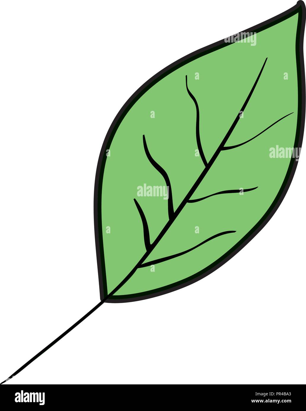 leaf plant ecology icon vector illustration design Stock Vector Image ...