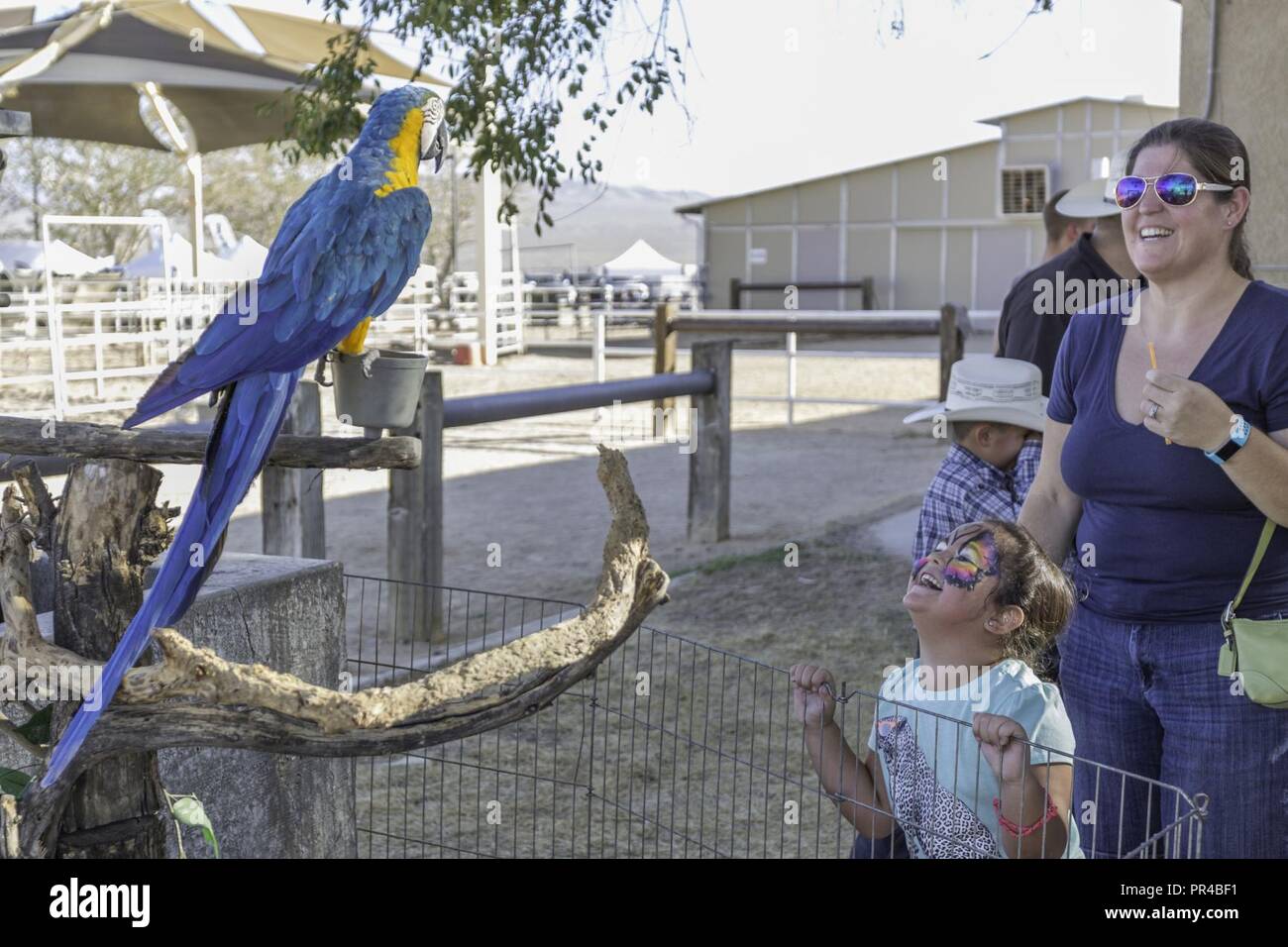 A mother and her daughter cheerfuly view a parrot at the animal exhibit during the carnival prior to the 2018 Extreme Rodeo aboard Marine Corps Logistics Base Barstow, California, Sept. 8. Stock Photo