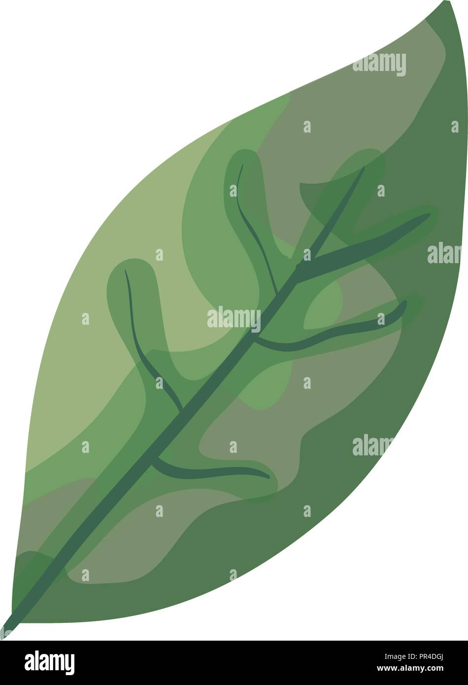 leaf plant ecology icon vector illustration design Stock Vector Image ...