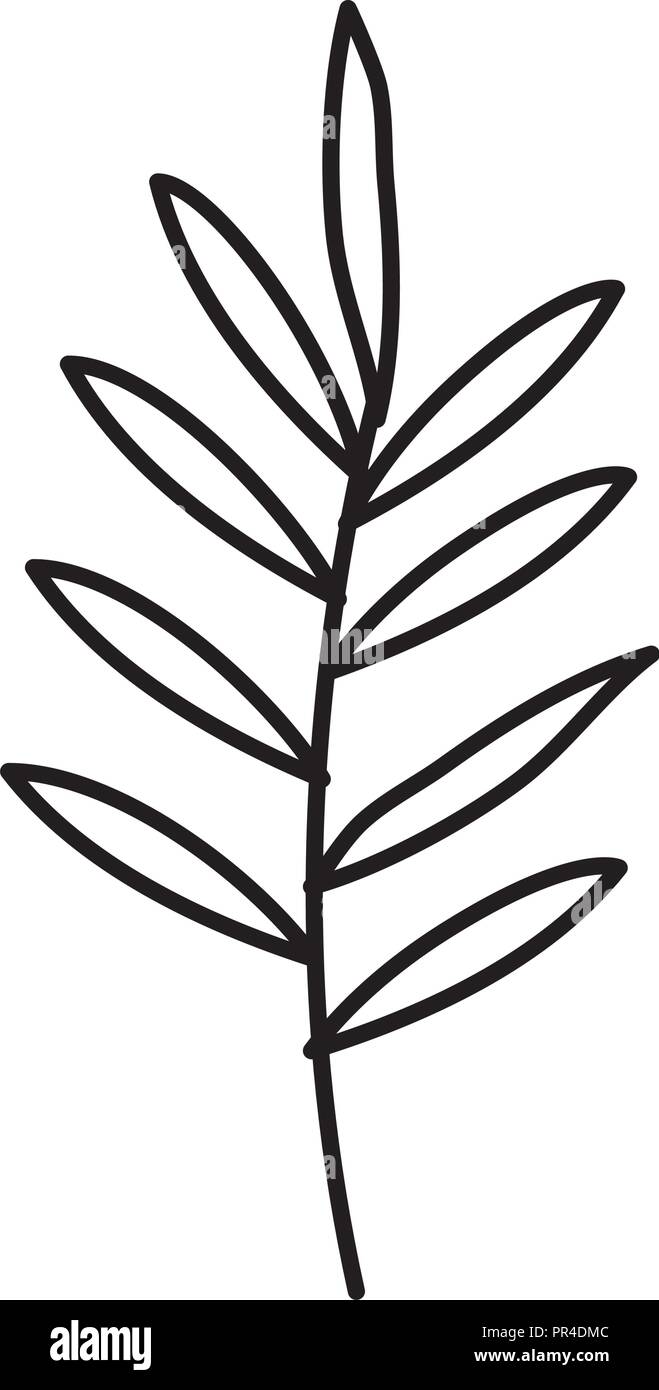 branch with leafs icon vector illustration design Stock Vector Image ...