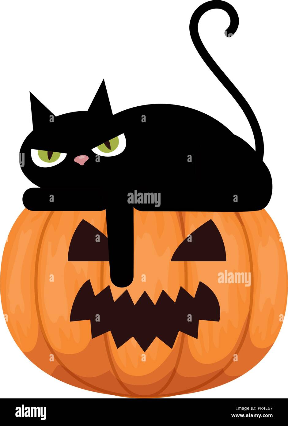 halloween black cat with pumpkin character vector illustration design ...