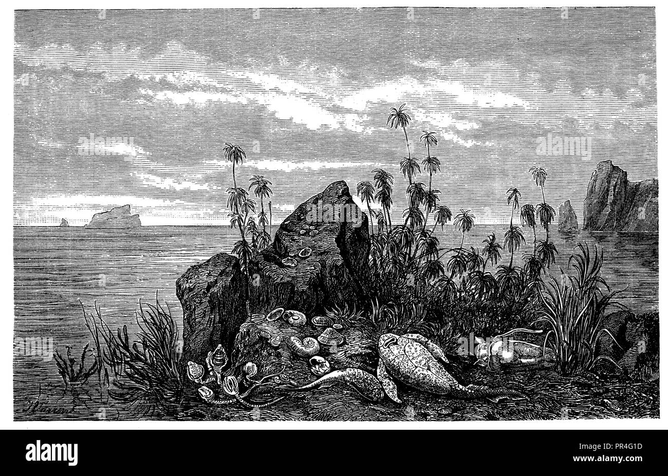 Devonian coastal landscape with sea lilies, nautiluses and armored fish, J. Varrone  1890 Stock Photo