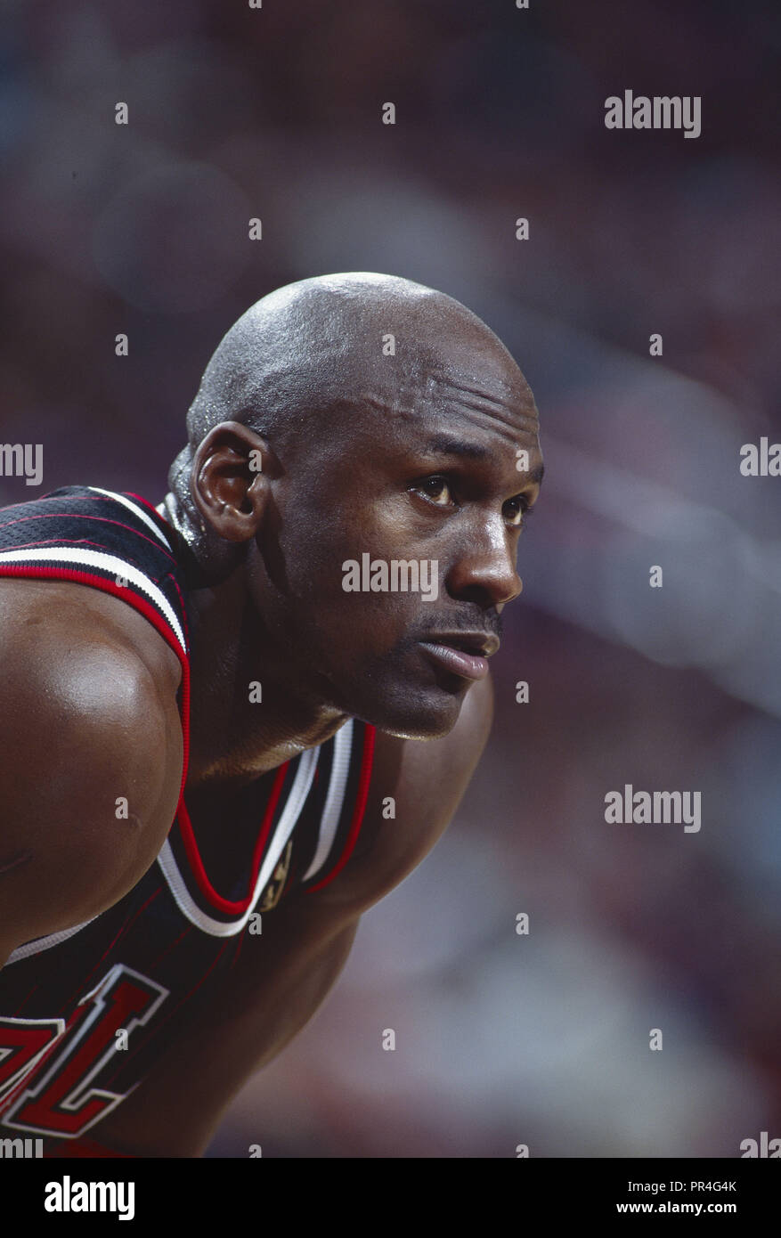 michael jordan bulls roster 1996