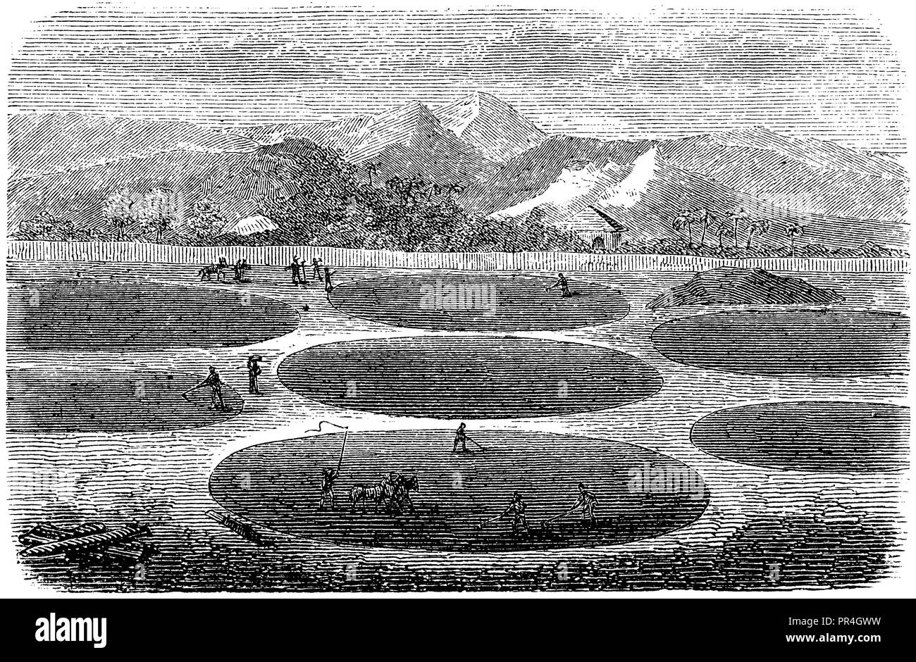 Amalgamation place at Salgado in Mexico,   1872 Stock Photo