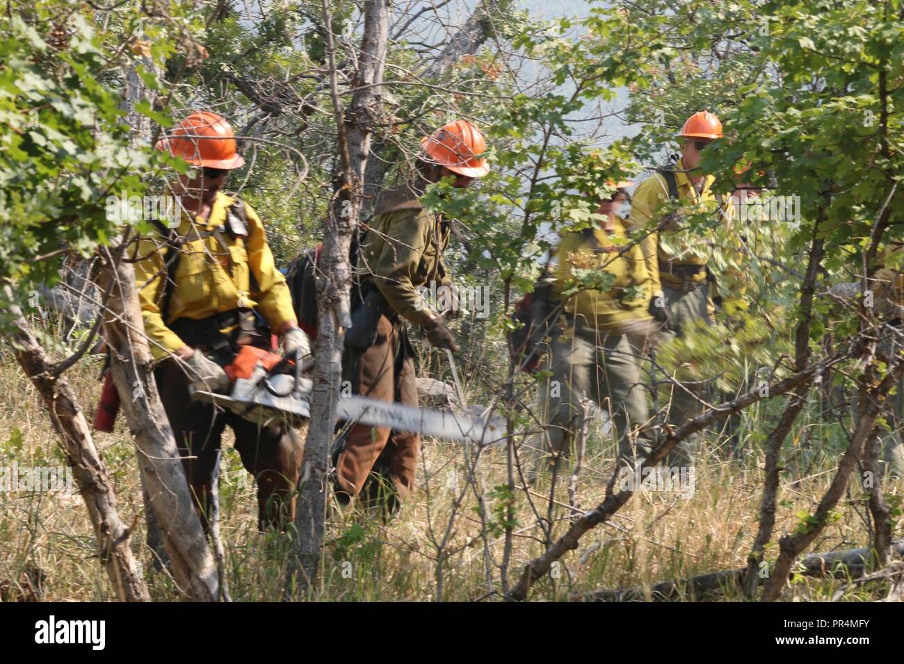 Combined forces of Bureau of Land Management, U.S Forest Service and other contractors work tirelessly to fight the fire that has burned across over 70,000 thousand acres of land Sep. 15, 2018 in Payson Canyon. Helicopters were used to aid the slowing of the lightning-caused fire. Stock Photo