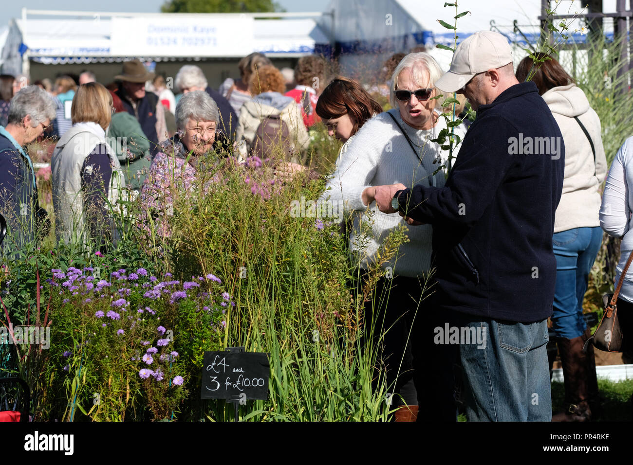Malvern Autumn Show, Malvern, Worcestershire - September 2018 - Visitors buy flowers and plants among the many nursery stands on a fine warm sunny autumn day - Photo Steven May / Alamy Live News Stock Photo