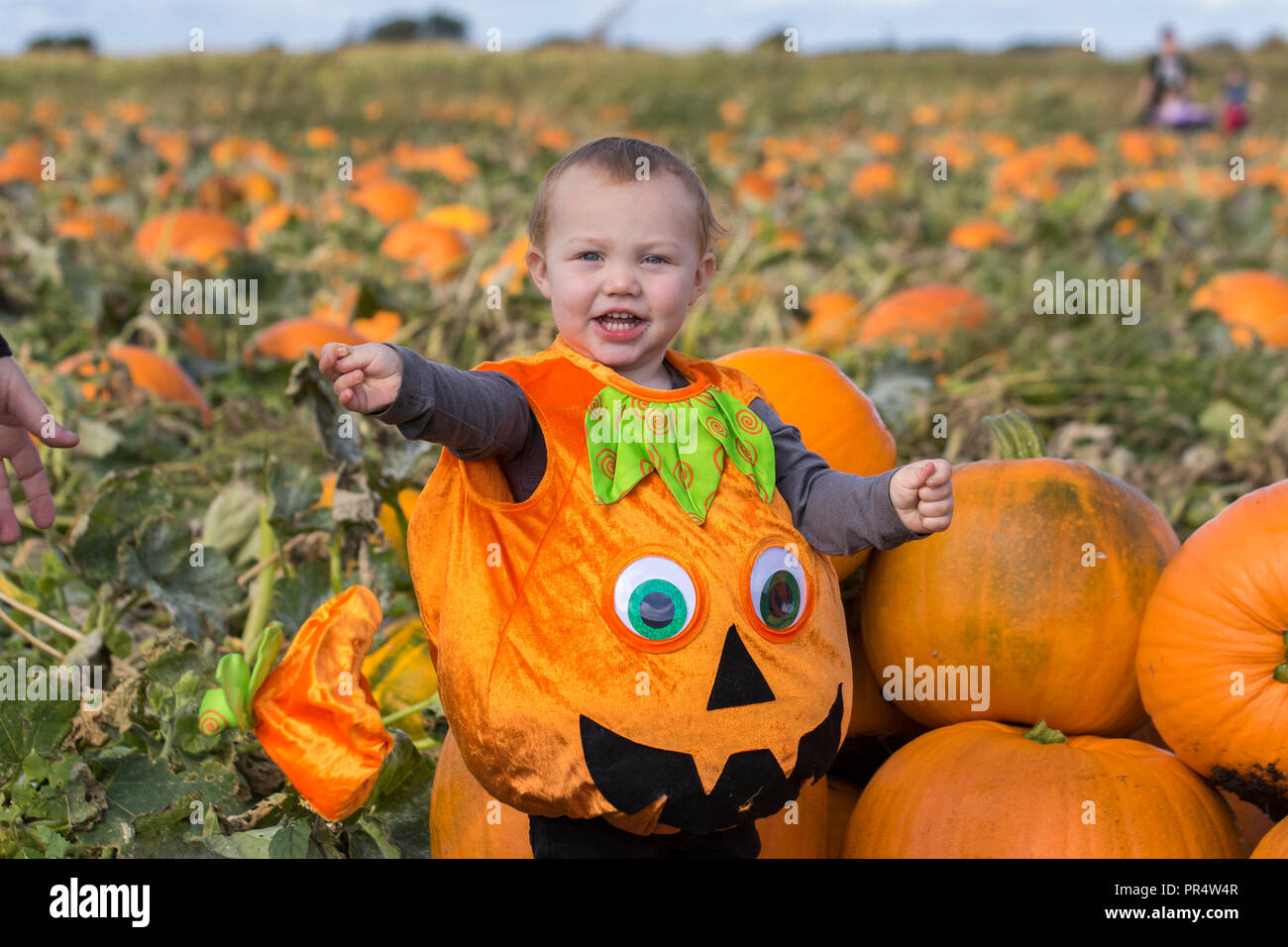 Alamy