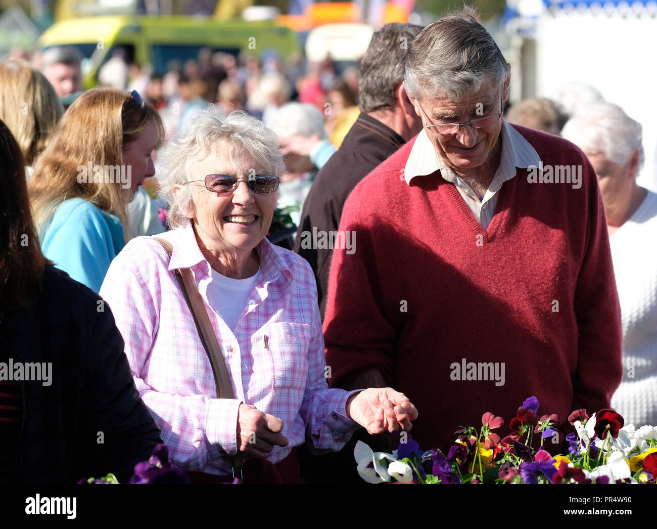 Malvern Autumn Show, Malvern, Worcestershire - Saturday 29th September 2018 - Visitors buy flowers and plants among the many nursery stands on a fine warm sunny autumn day at the show with local temperatures up to 16c - the Malvern Autumn Show continues to Sunday 30th September. Photo Steven May / Alamy Live News Stock Photo