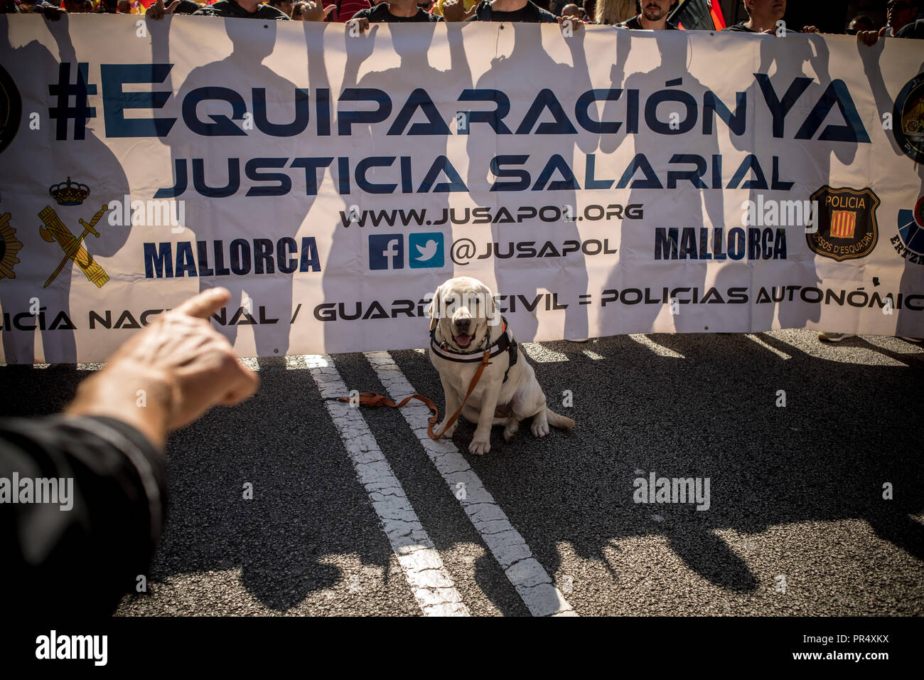 September 29, 2018 - Barcelona, Catalonia, Spain -  A police dog attends a march by Spanish police in Barcelona. Members and supporters of Spanish police Guardia Civil and Policia Nacional marched by Barcelona streets demanding salary improvements and in tribute to the participation against the Catalan referendum of independence a year ago. Stock Photo