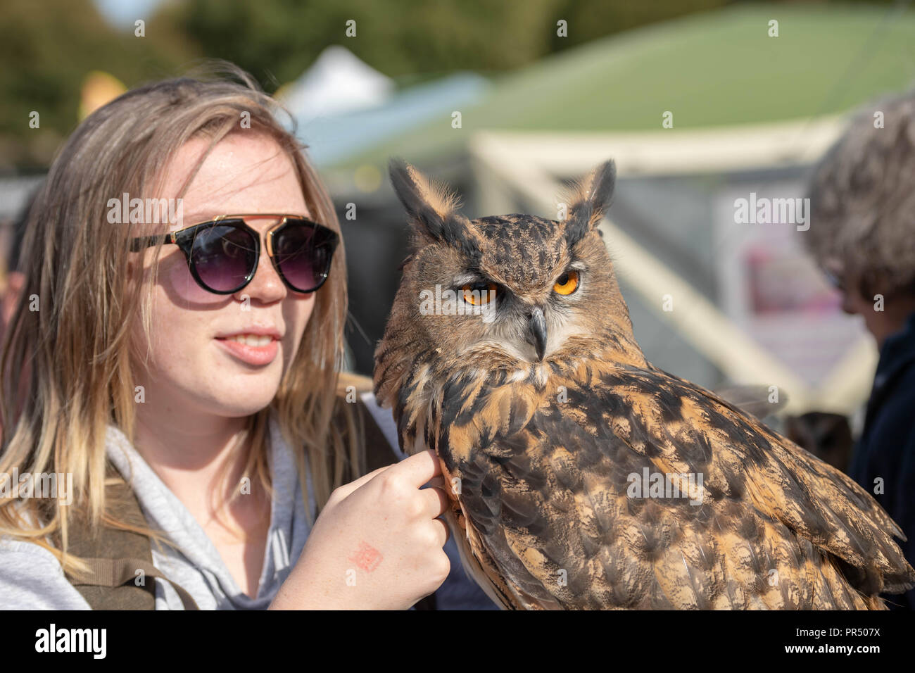 Brentwood Essex 29th September 2018 Essex Country Show in Weald Park Brentwood Essex in glorious autumn sunshine. An Eagle Owl with  visitor, Credit Ian Davidson/Alamy Live News Stock Photo