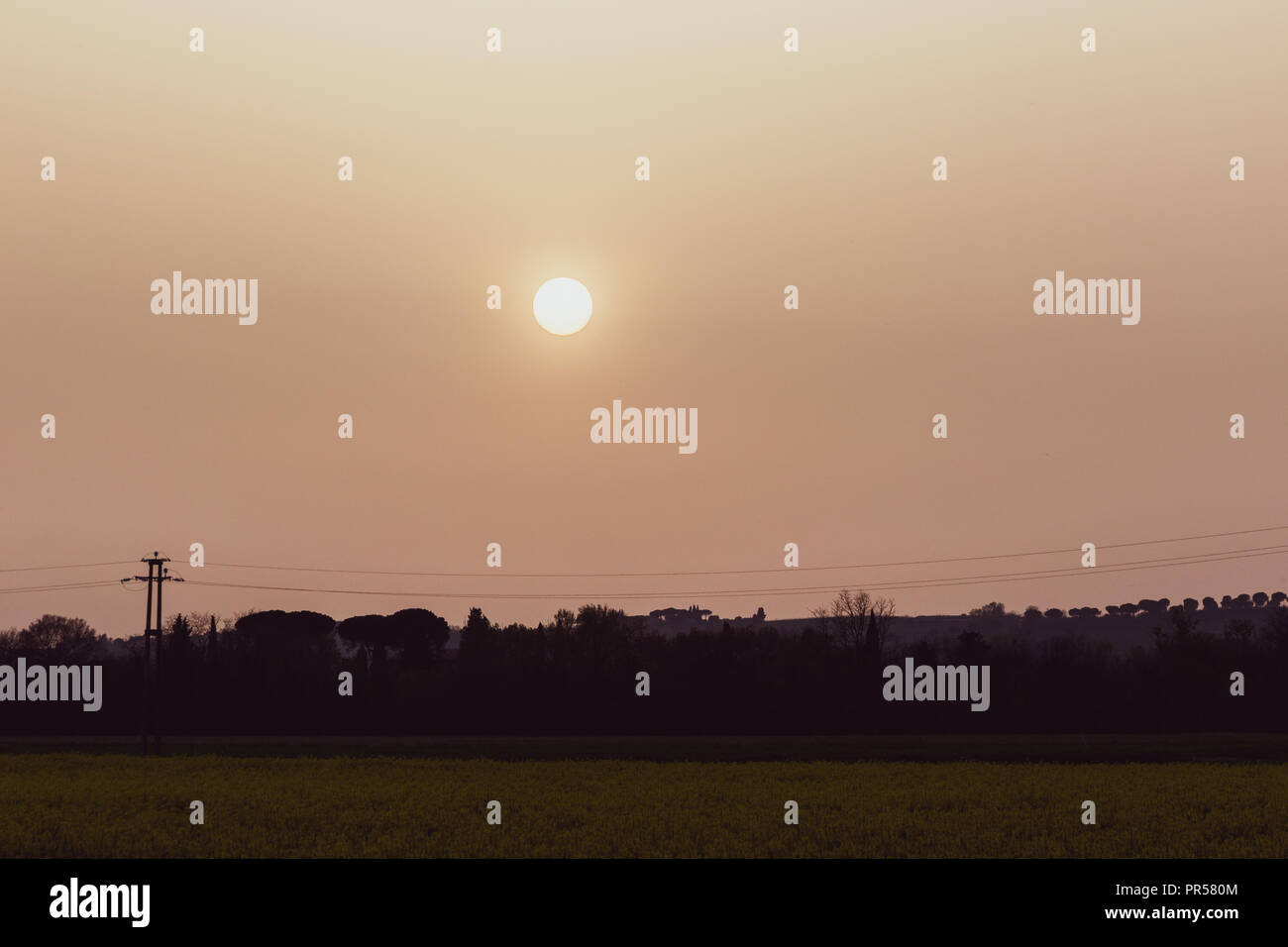 Sunset with sand suspended in the atmosphere, coluring the sky red, over some trees silhouettes and power lines Stock Photo