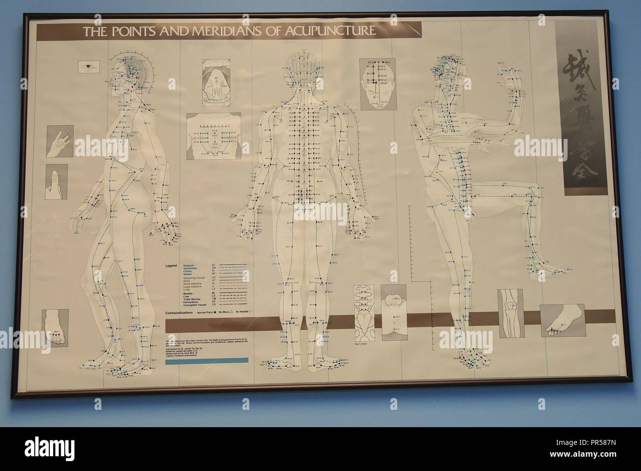 Acupuncture chart hires stock photography and images Alamy
