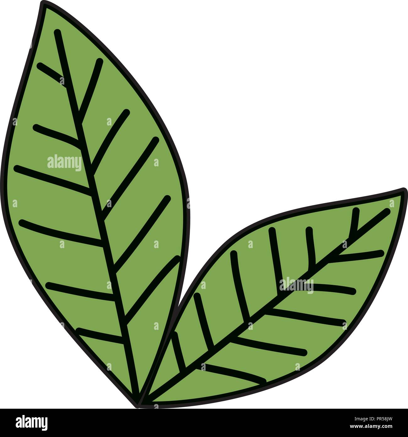 leaf plant ecology icon vector illustration design Stock Vector Image ...