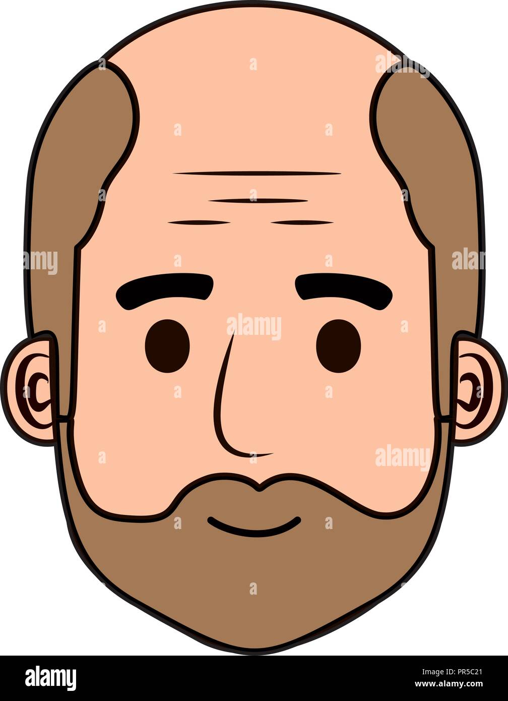 head old man bald with beard avatar character vector illustration design  Stock Vector Image & Art - Alamy