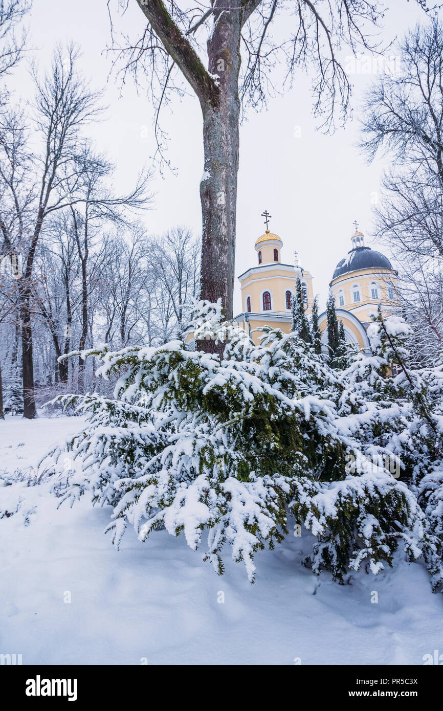 Peter and Paul Cathedral in the winter park of Gomel with a bush in the snow in the foreground Stock Photo
