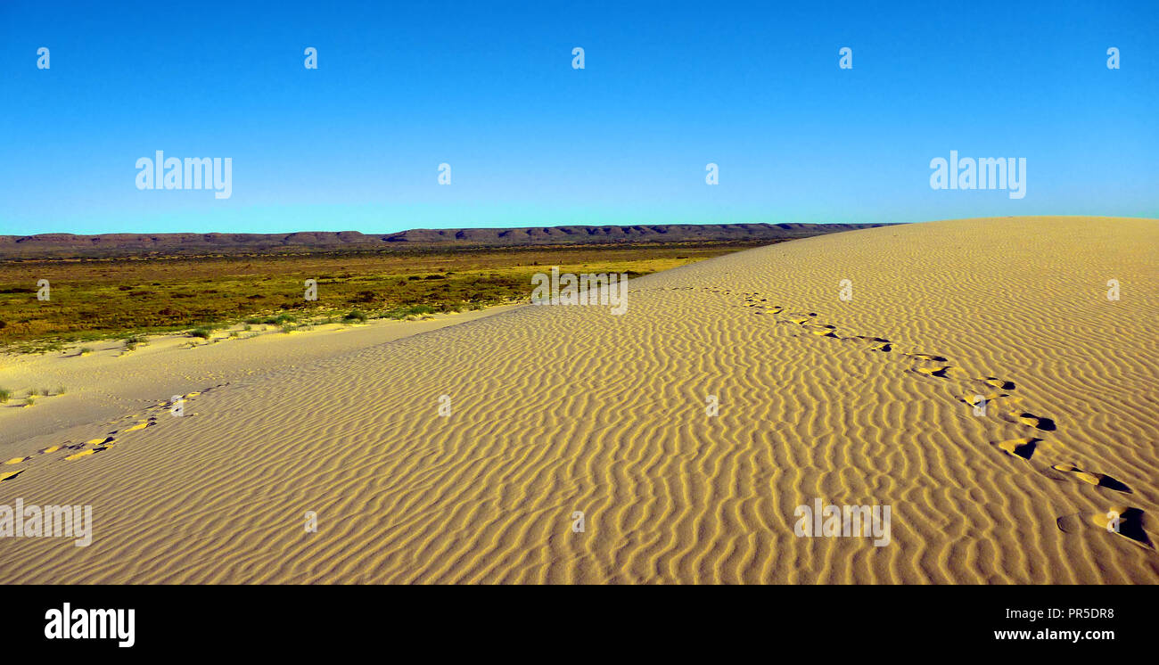 Ningaloo Reef sand dunes surrounded by spinifex and the Cape Range National Park Stock Photo Alamy