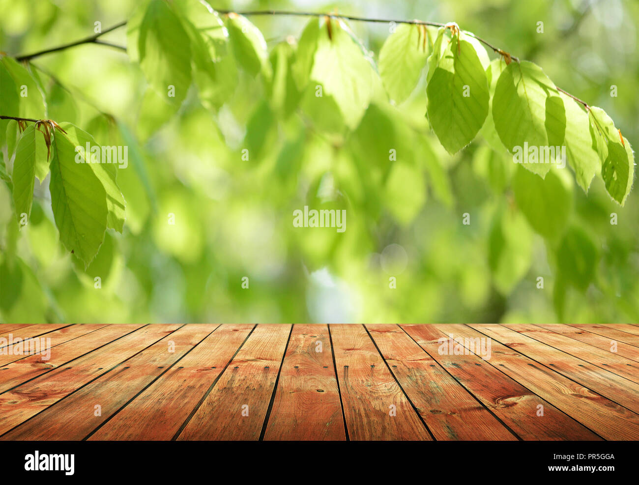 Wooden table background Stock Photo - Alamy