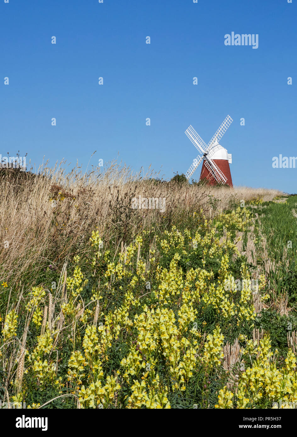 Halnaker park hires stock photography and images Alamy