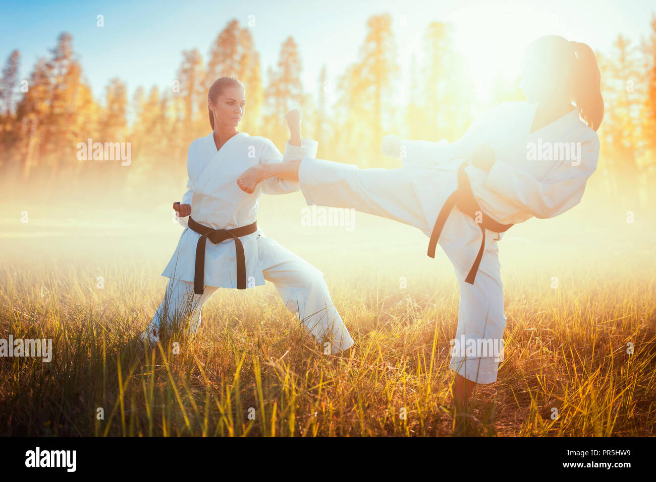 Two female karate in kimono fight in summer field. Martial art fighters on  workout outdoor, technique practice Stock Photo - Alamy