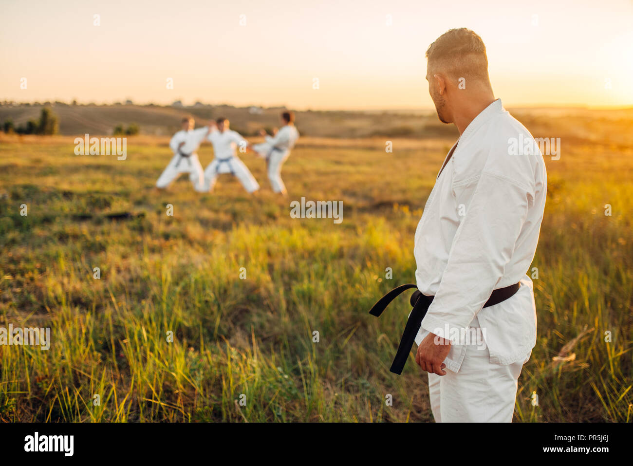 Karate master looks at the training of his class, summer field on background. Martial art school on workout outdoor, technique practice Stock Photo