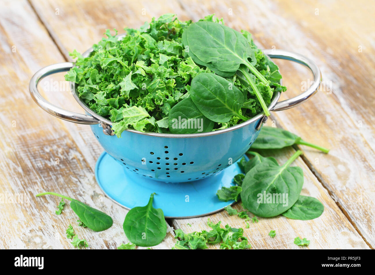 Shredded raw kale and spinach baby leaves in blue colander on rustic wooden surface with copy space Stock Photo