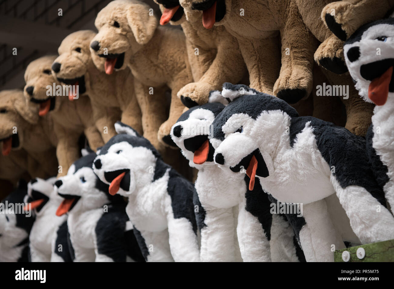 soft toy dogs for sale