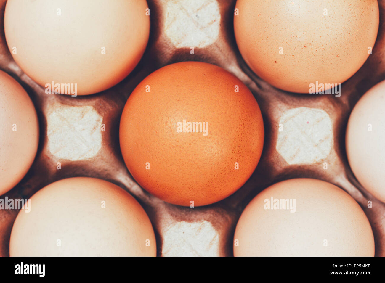 the eggs in the carton boxes laying, top view closeup Stock Photo