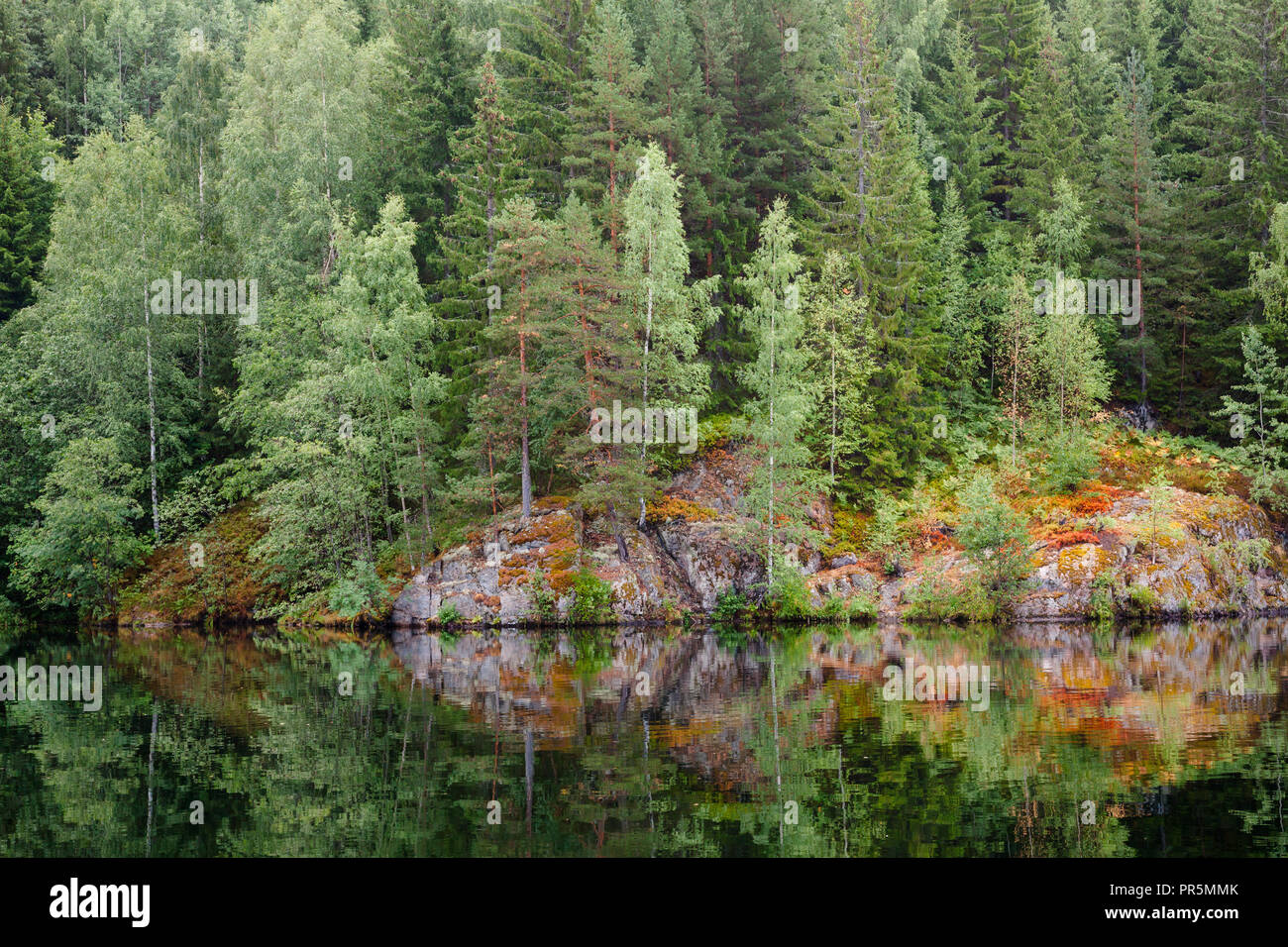 Trees reflecting in a quiet lake natural background, Telemark canal