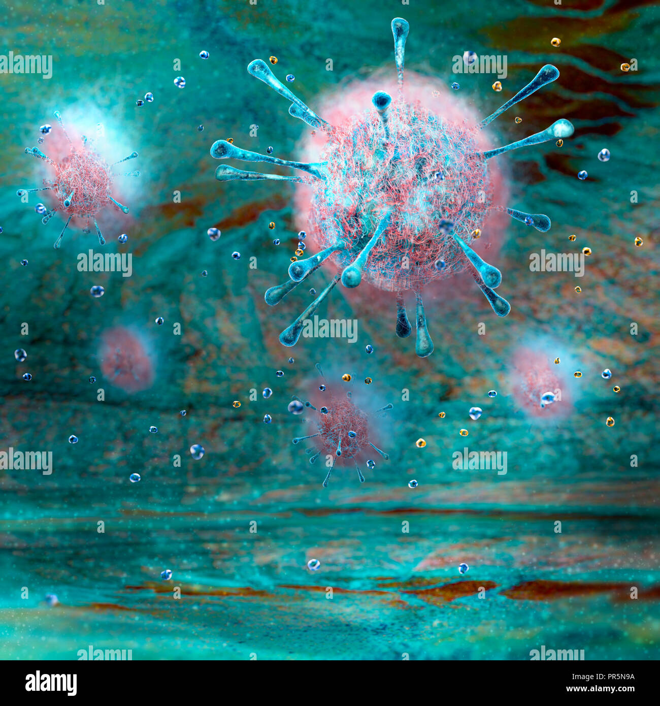 Viruses, micro organisms, duplication and propagation. Formation of