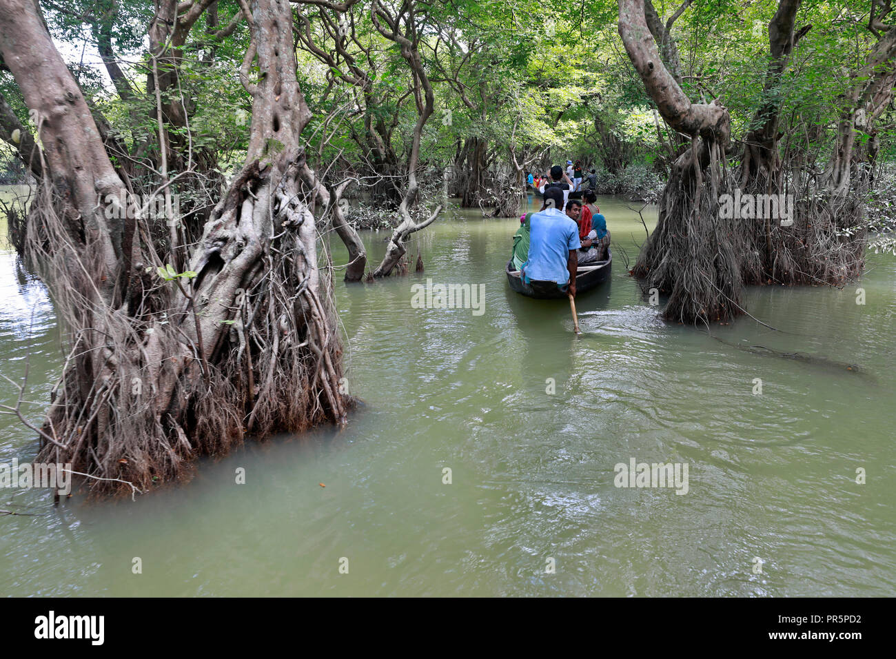 Amazon of bangladesh hires stock photography and images Alamy