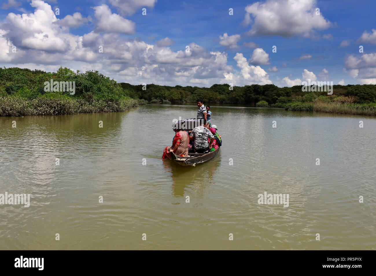 Sylhet, Bangladesh - September 21, 2018: Ratargul is the only freshwater swamp forest in the country and affectionately called the 'Amazon of Banglade Stock Photo