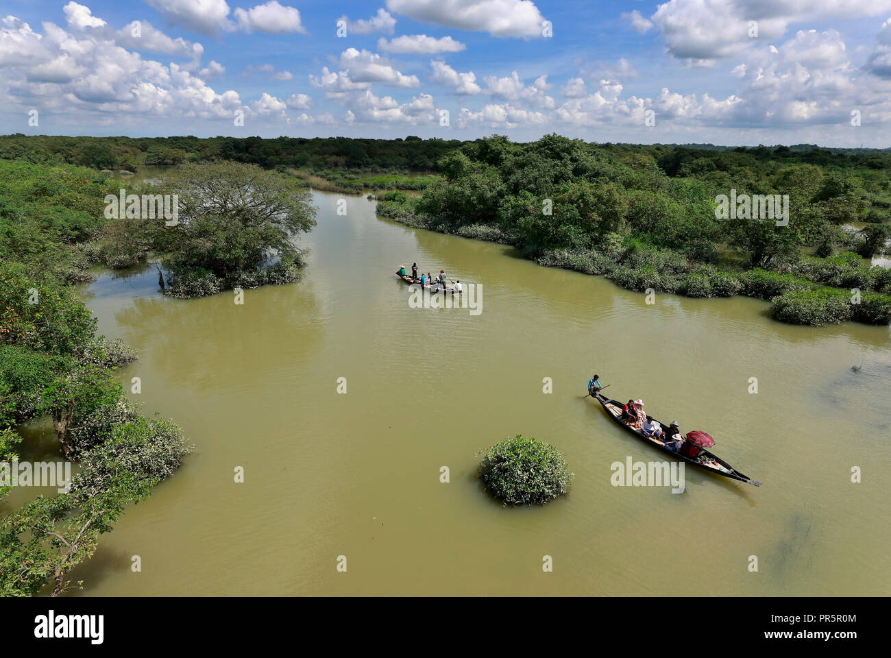 Sylhet, Bangladesh - September 21, 2018: Ratargul is the only freshwater swamp forest in the country and affectionately called the 'Amazon of Banglade Stock Photo