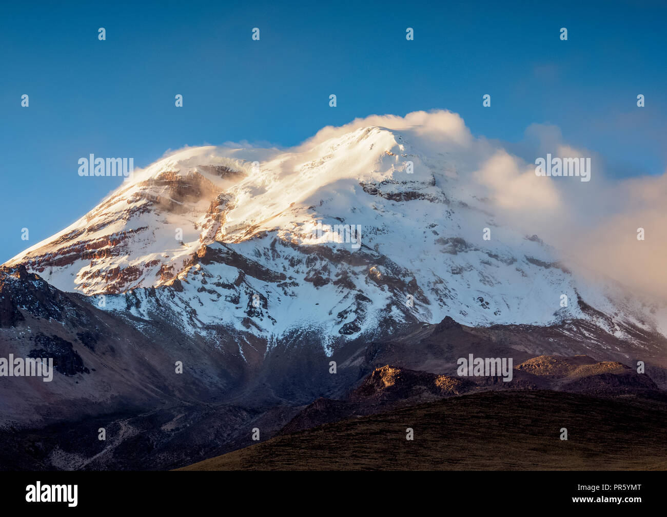 Chimborazo Volcano Chimborazo Province Ecuador Stock Photo Alamy