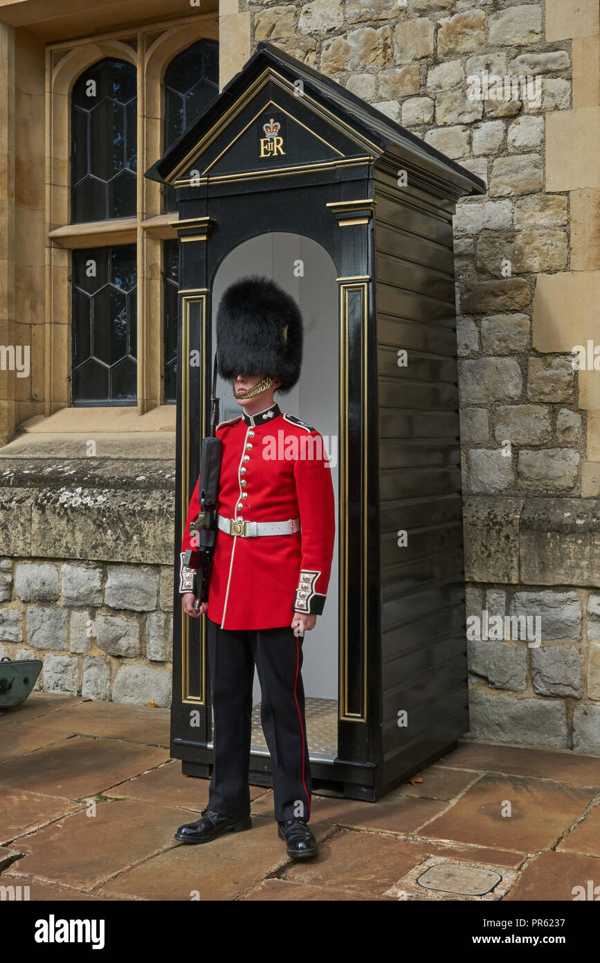 royal guard.   Queens guard.  Household Guard.  Sentry duty.   grenedier guard.   Bearskin.  sentry box. Stock Photo