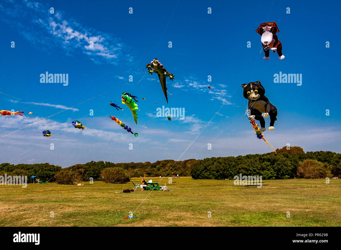 Dog kites hires stock photography and images Alamy