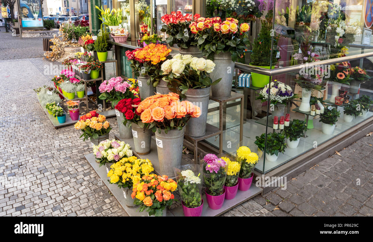 Potted plants display hi-res stock photography and images - Alamy