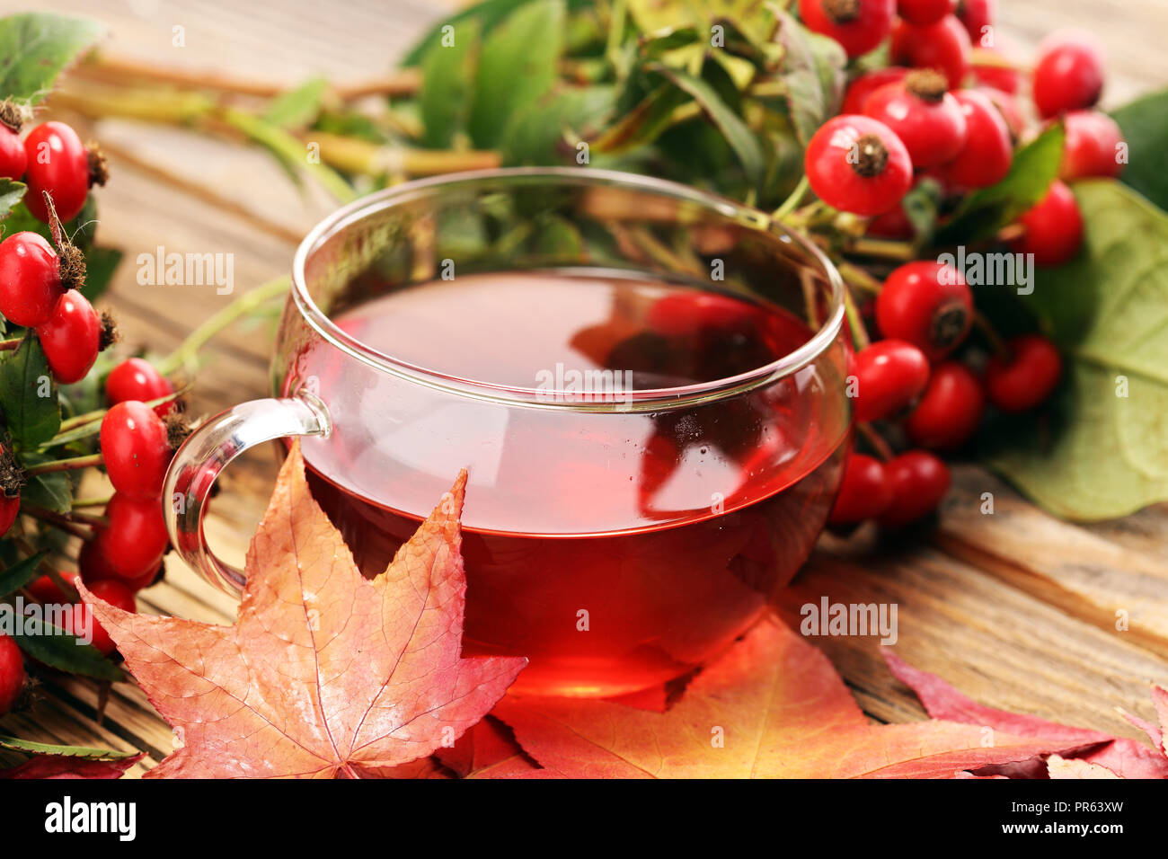 Tea. cup of herbal Dog rose tea with bunch branch Rosehips, types Rosa  canina hips. Medicinal plants and herbs composition Stock Photo - Alamy