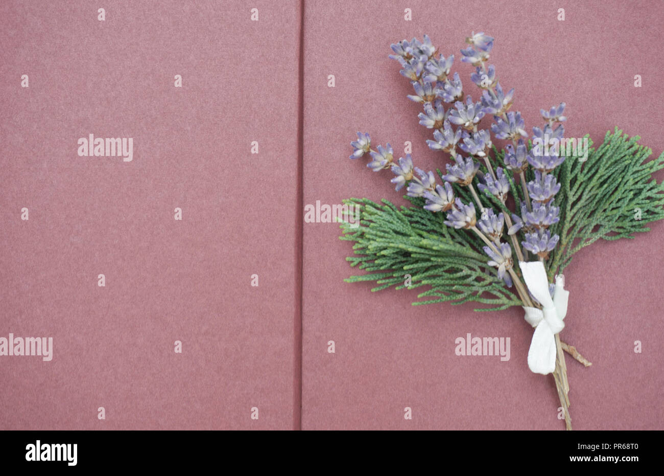 Open blank pages of scrapbook with bunch of lilac lavender and green branches on the right side. Free copy space for text Stock Photo