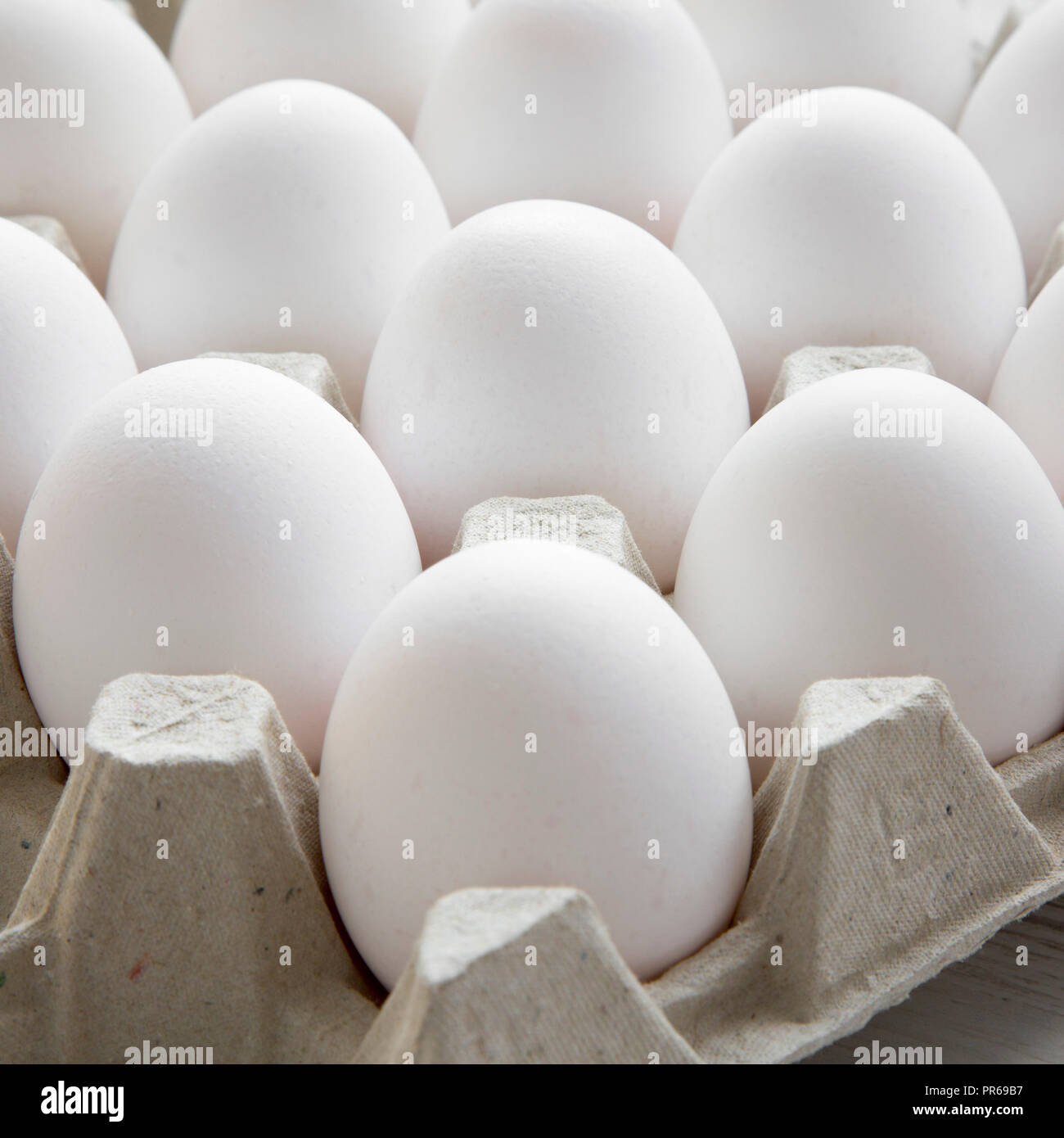 Chicken eggs in egg box, closeup. Stock Photo