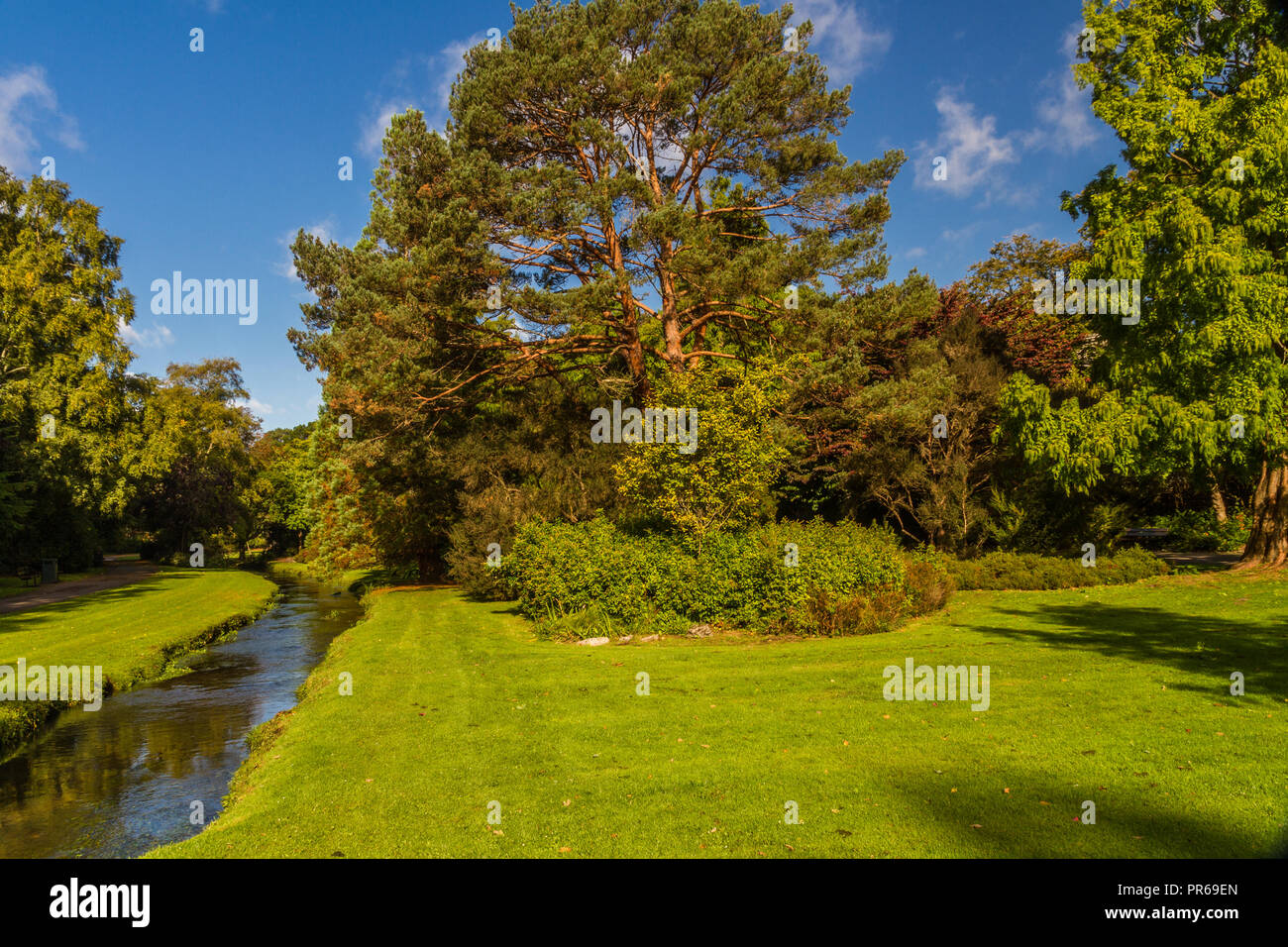Bournemouth, United Kingdom – The Upper Winter Gardens Stock Photo - Alamy