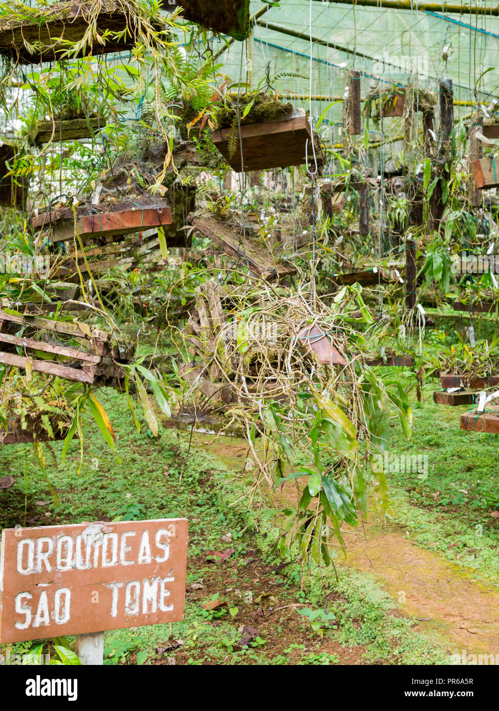 Bom Sucesso Botanical Garden, São Tomé Stock Photo