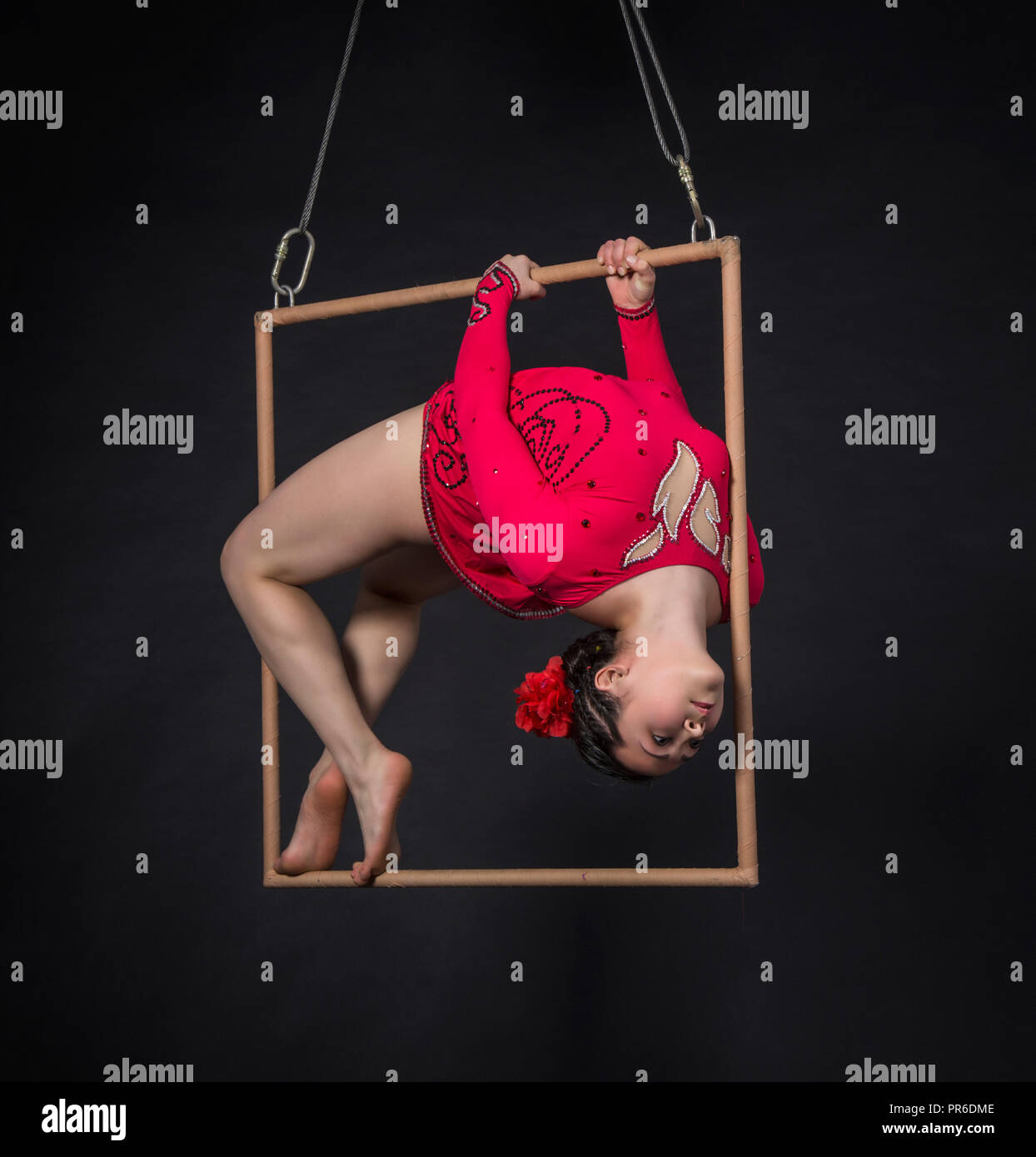 A young woman performs the acrobatic elements in the air trapeze ...