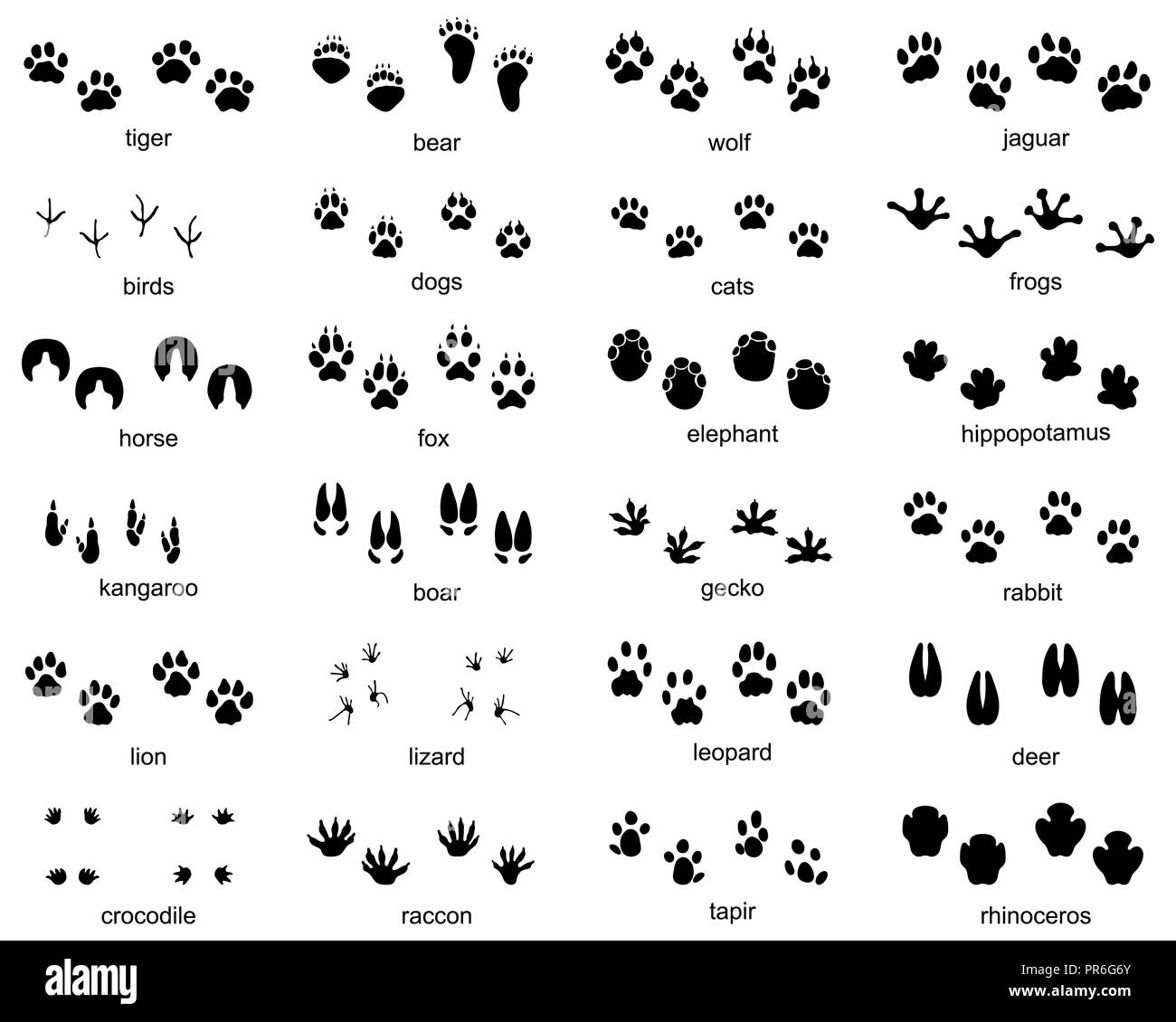 Set of footprints of wild animals, illustration of black silhouette Stock  Photo - Alamy