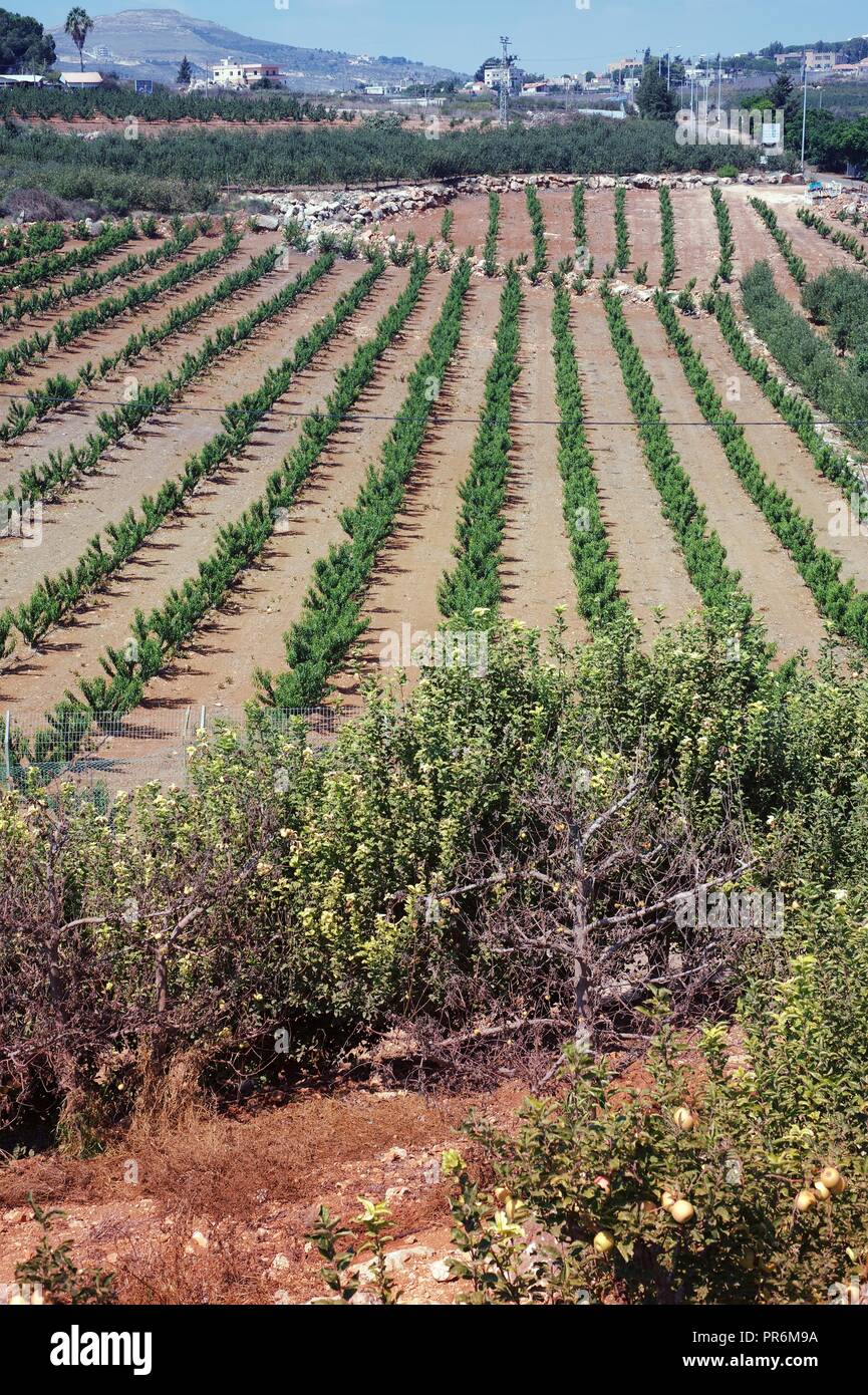 special landscape, beauty of the nature Stock Photo - Alamy