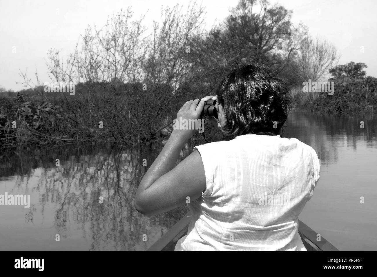 53 year old Asian woman sitting at the front of a canoe turning sideways looking through a pair of binoculars for wild life, the canoe is on a blue ri Stock Photo